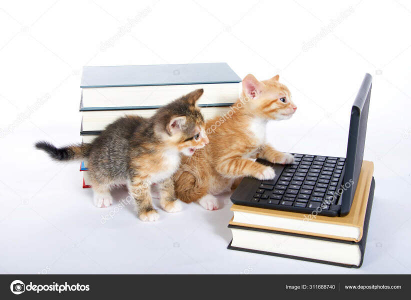 I think there's a strong case for turning off the Internet... Anyone else agree? 