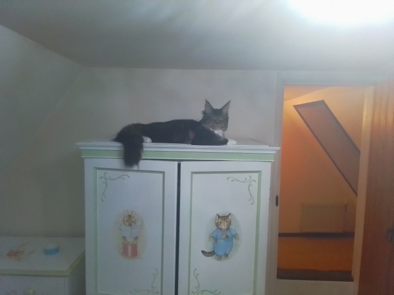 Current Year 11 - 2 more weeks of exams!!