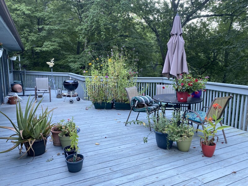 Come and tell me your dull and unexciting news 23: Calmly through the day 