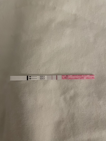 LH surge before period?