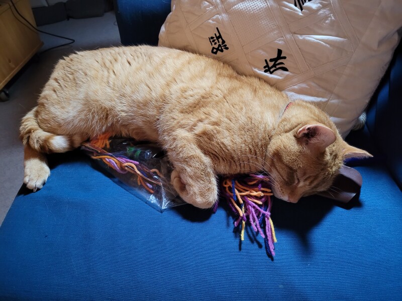 Stitch and bitch thread #4 I needle the help I can get.