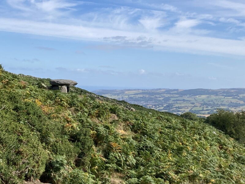 Come chat hiking with me!