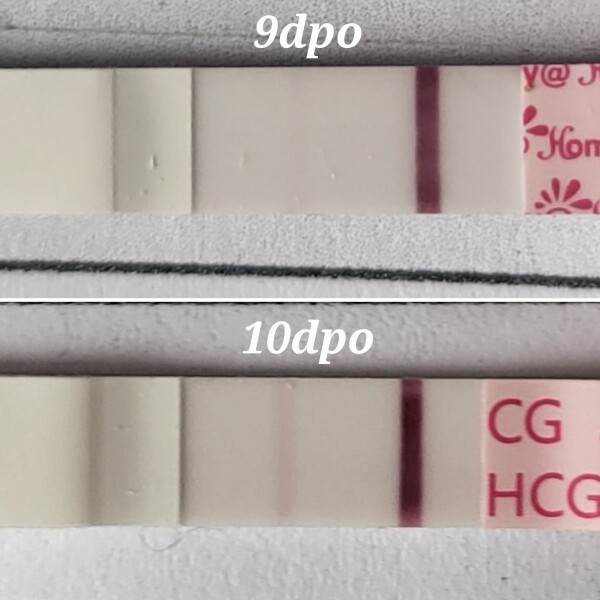 Anyone else around 7dpo and want some company? (TWW)