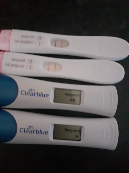 Clearblue digital and dye stealer 