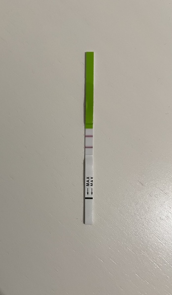 🤞 September BFP 🌈