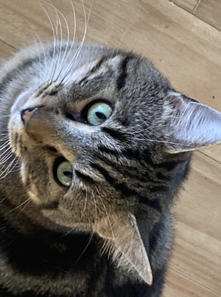 To a life well spent – RIP Cap'n V
