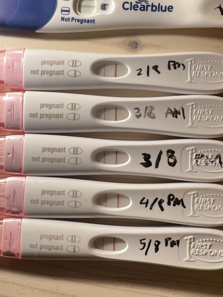 HELP - FRER testa not darkening 16dpo
