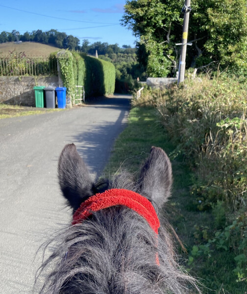 Adult new or returning riders up for a chat?