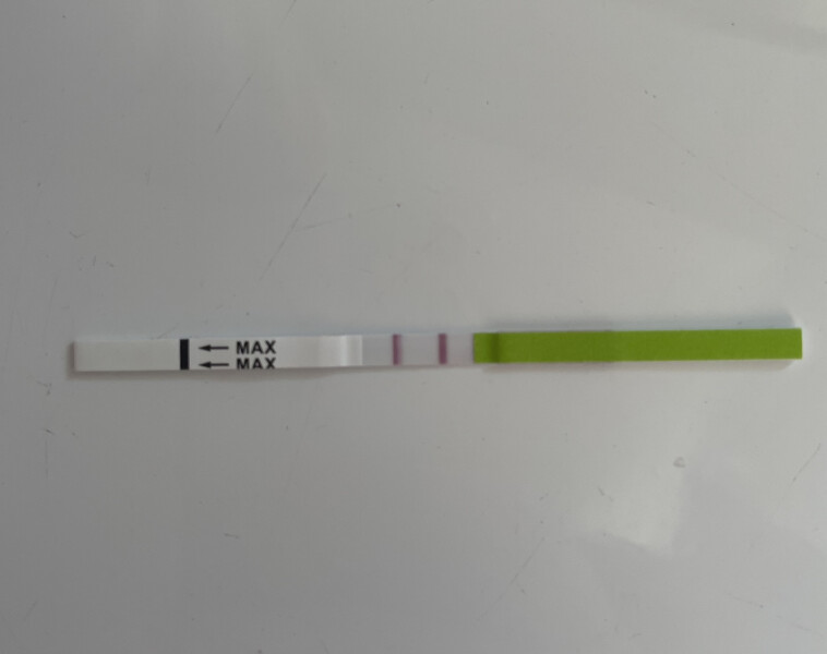 Does this look like a positive OPK??