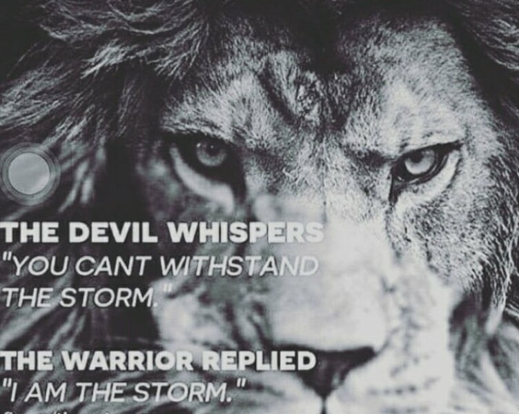 Noah Donohoe: the latest news is very bad 