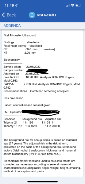 Can anyone help me with my screening results from 12 week bloods (photo attached)
