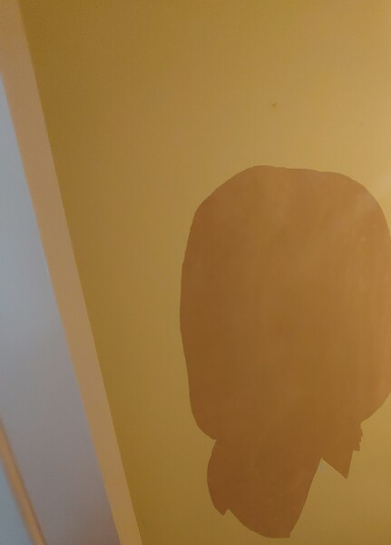 How do I paint this wall?