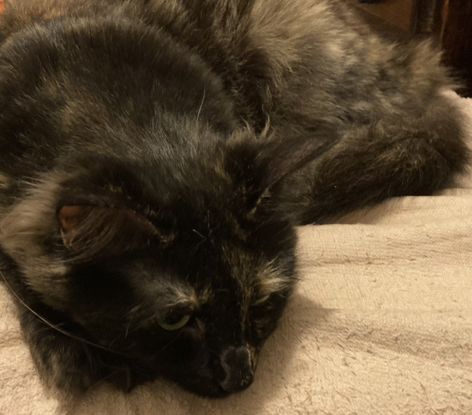 To a life well spent – RIP Cap'n V