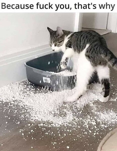 to just stop doing it completely?