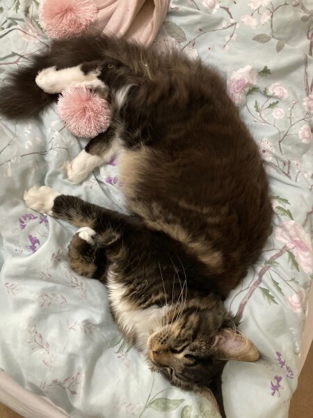 Come and tell me your dull and unexciting news 23: Calmly through the day 