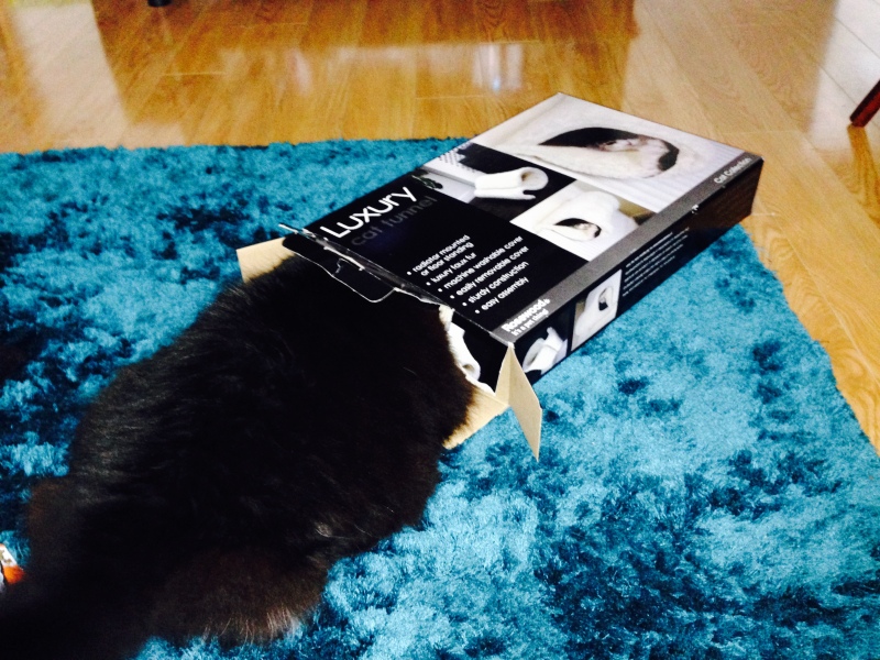 Of all the places to sleep…