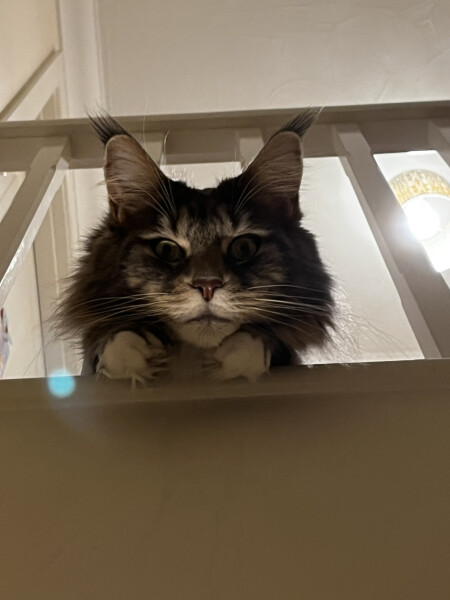 We need to talk about the Weather and the potential for extreme heat - PART 2