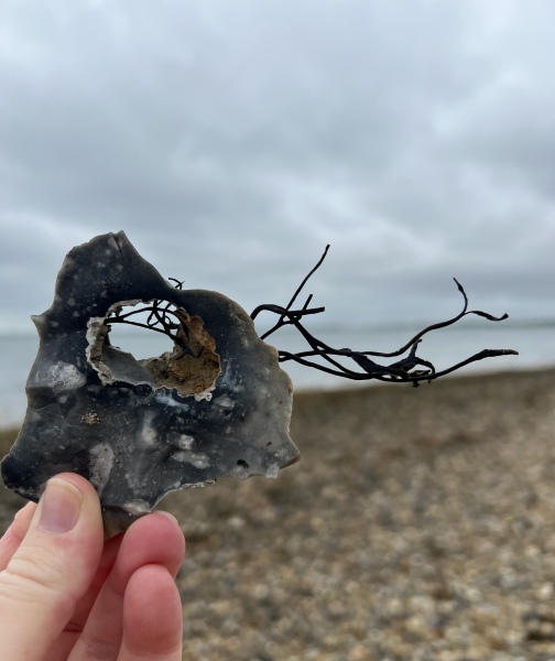 Any Witches Here?- Part 17.