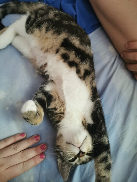 Thread one - the one with no name of note