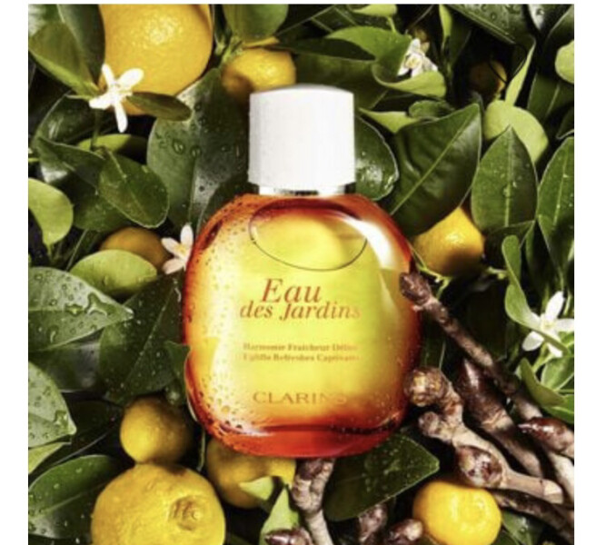 Looking for a light, everyday perfume (sweet, floral but not musky)