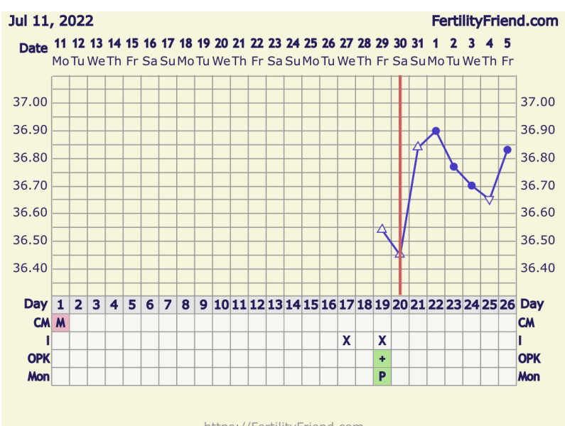 BBT Chart, first month