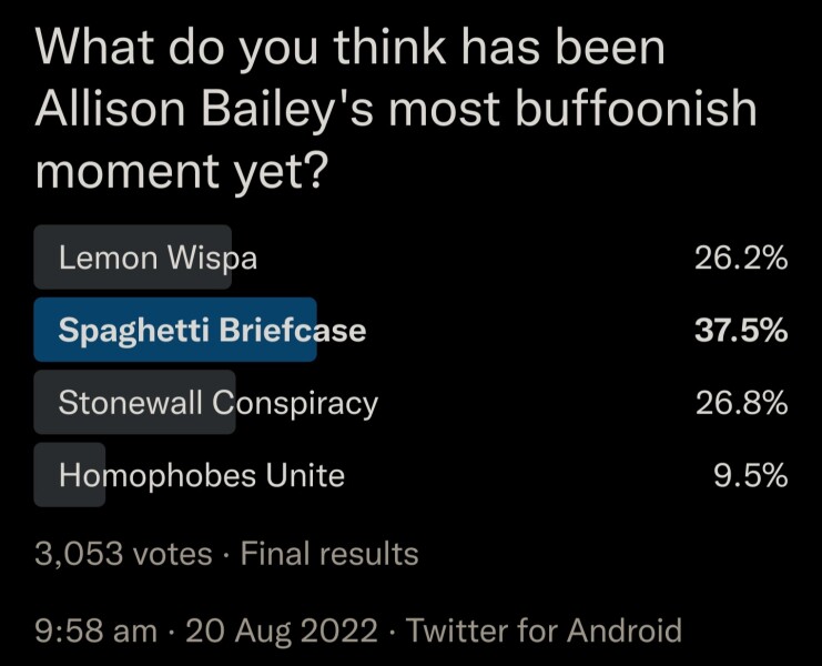 What is Allison Bailey's spaghetti briefcase?