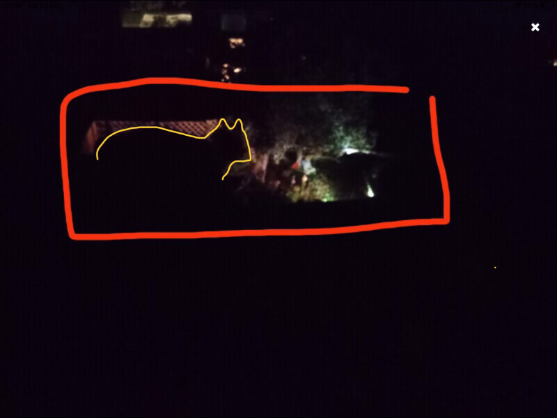 AIBU to expect my neighbour not to have garden lights? 