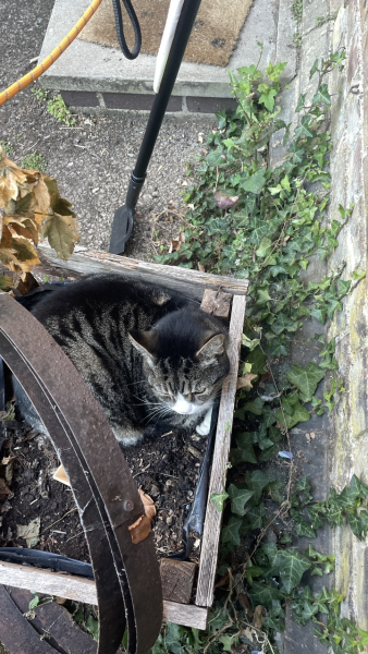 Of all the places to sleep…