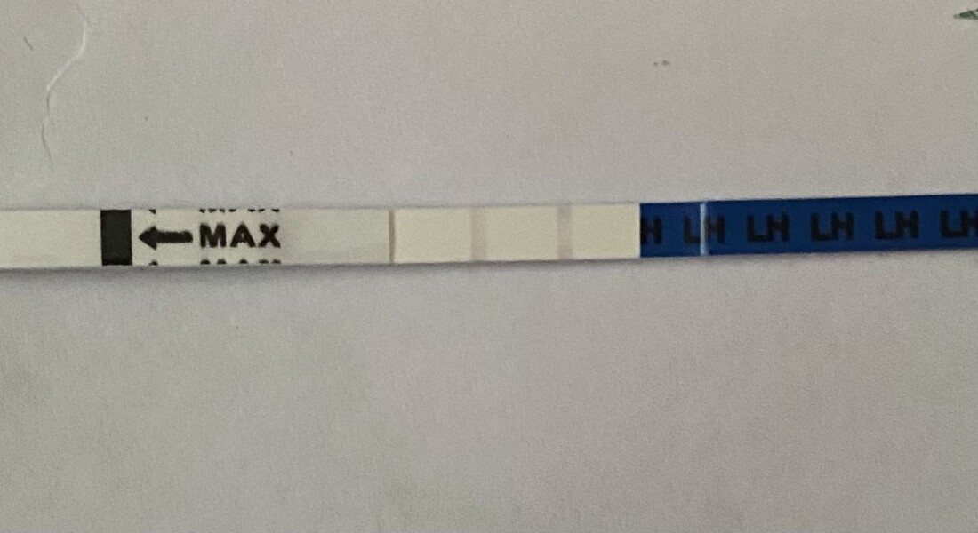 Is this a positive ovulation test?