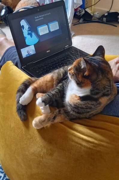 Thread 36.1 Covid Cohort , The Night Before Results Distraction Thread