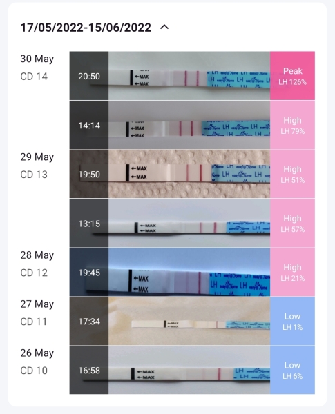 First timers, TTC. Safe space for brain dumps...