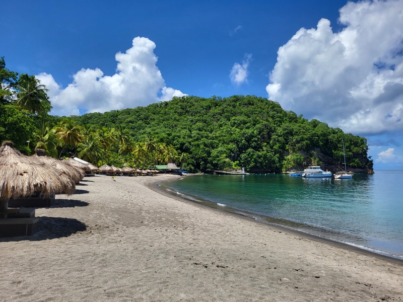 St Lucia - seaweed?