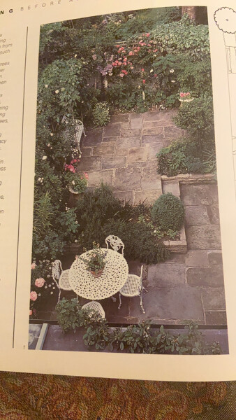 Moving from decent garden to very small one...help please!