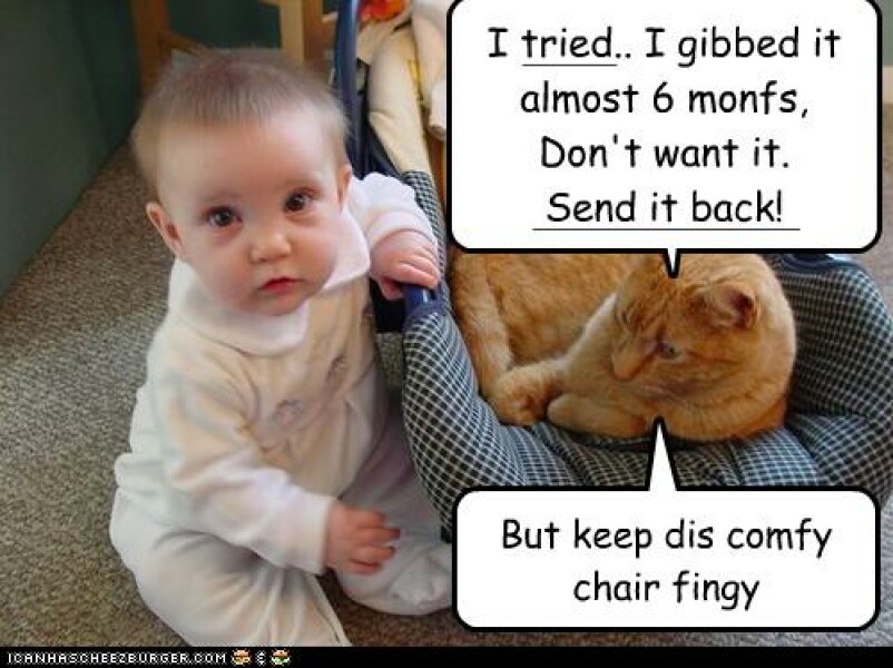 Prepping cats for a new baby
