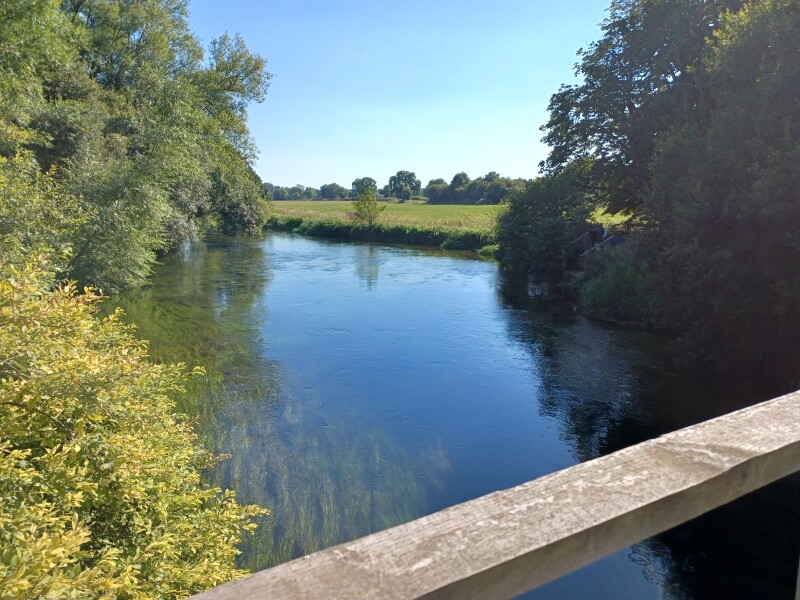 Come chat hiking with me!