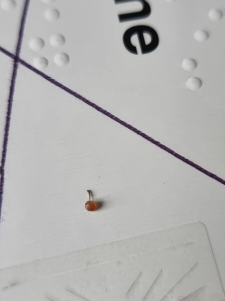 Woke up to this beauty