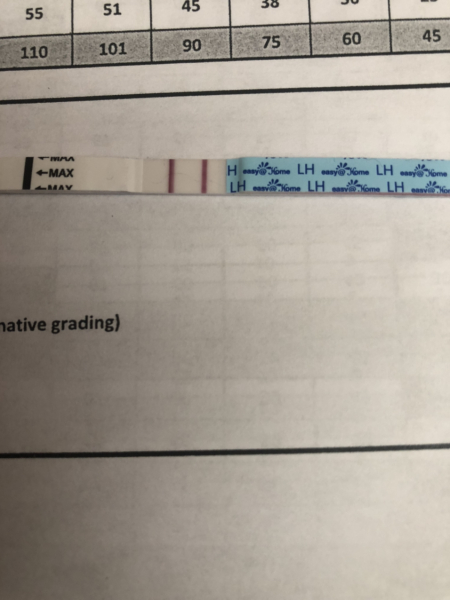 TTC after miscarriage thread 10