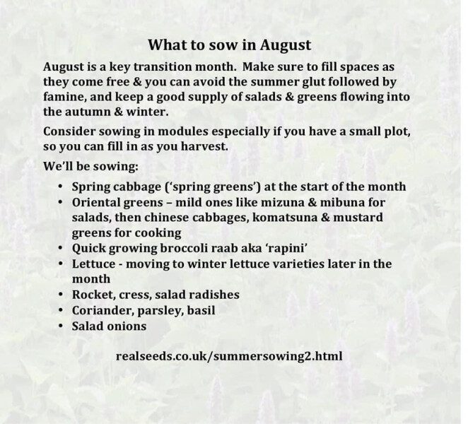 Too late to plant fruit and veg?
