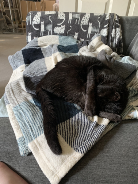 To a life well spent – RIP Cap'n V