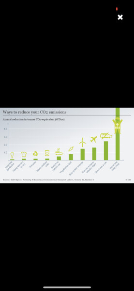 I’m a big family mummy 