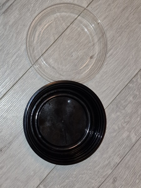 *Warning- contains picture of spider* To be frozen in fear and awe all at the same time!!