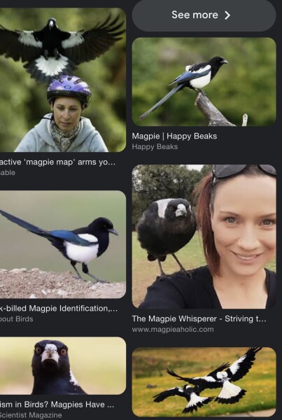 can anyone identify this strange bird