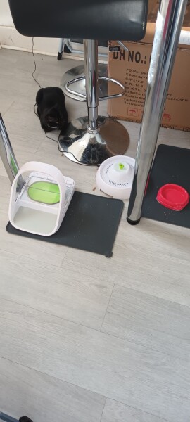 Microchip cat feeders