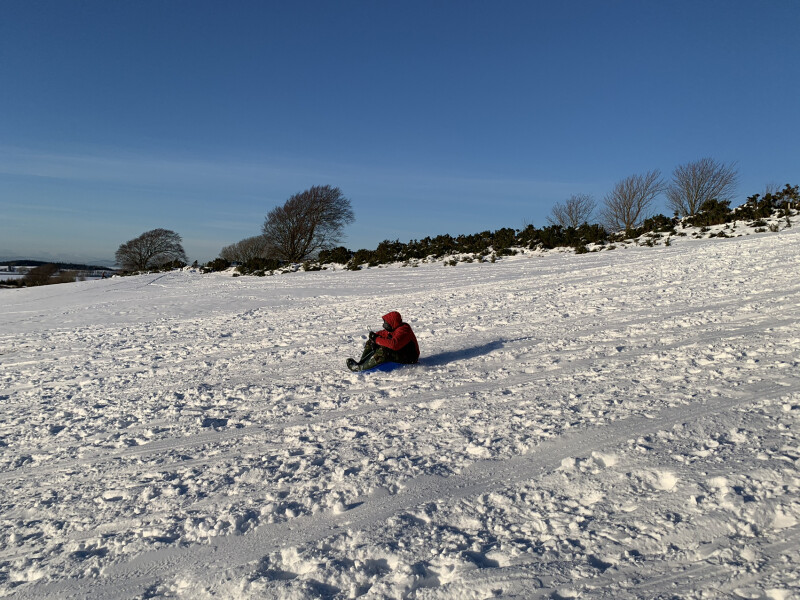 To absolutely dread winter