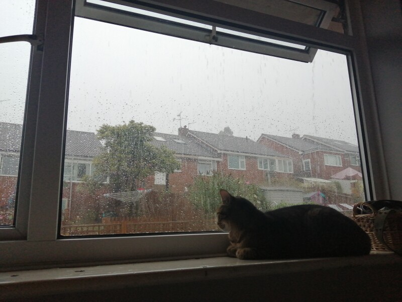 We need to talk about the Weather and the potential for extreme heat - PART 2