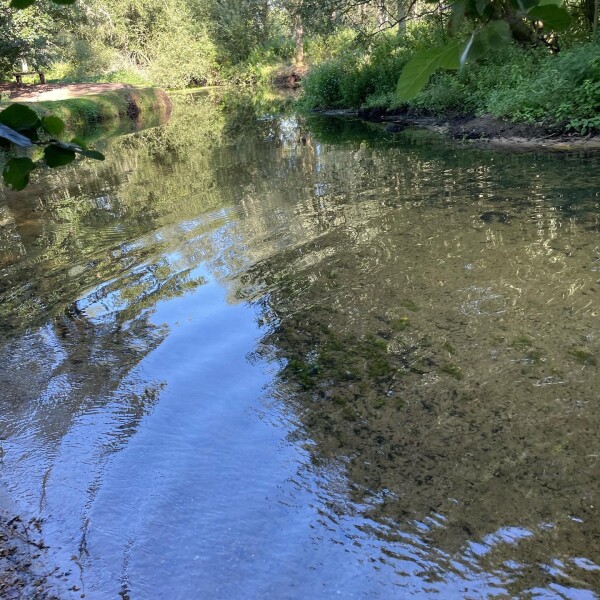 Cold water swimmers including sea, lakes and rivers