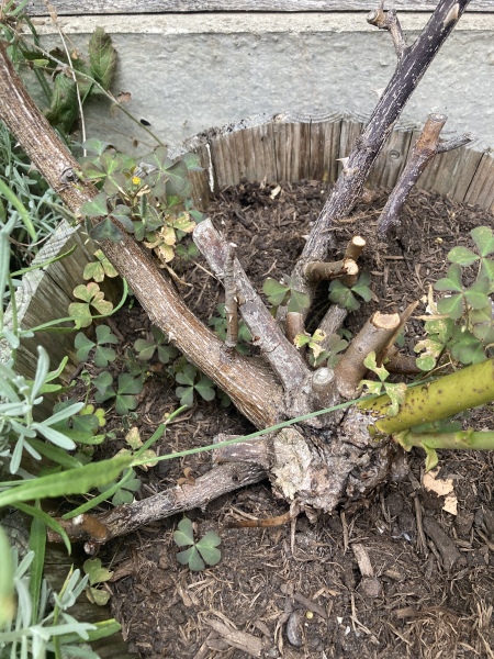 Help needed