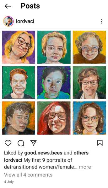 Painting detransitioners