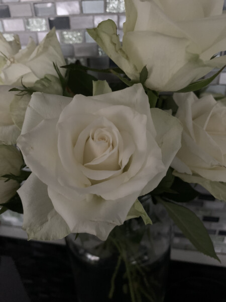 Any Witches Here?- Part 17.