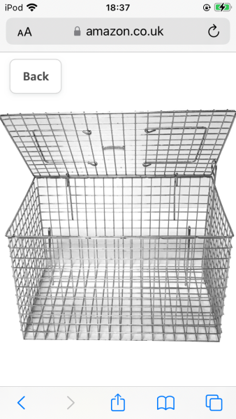 Car carriers - your recommendations please (pic included!) 